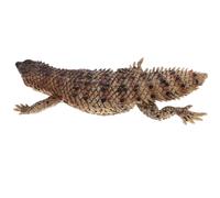 PERSELOSO Realistic Simulation Lizard Model Educational Animal Figurine Plastic Decor for Nursery Play Sturdy Safe Material with Lifelike Desert Lizard Design Ox
