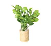PERSELOSO Scale Potted Greenery Mini DIY Accessory for Indoor Bonsai Decor and Photography Props