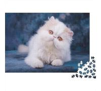 Persian Cat 1000 Pieces Adult Jigsaw Gray Fluffy Cat Leans on Blue Fabric Fun Challenging Game for Adults 14-99 Years 52x38cm/1000pcs