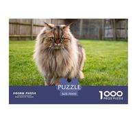 Persian Cat 1000Pc Jigsaw Puzzles for Adults & Kids Brown Tabby Flat-faced Cat on Green Grass Home Decoration | Great Gift Idea 70x50cm/1000pcs