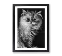 Persian Cat 2 Modern Framed Wall Art Print, Ready to Hang Picture for Living Room Bedroom Home Office Décor, Black A4 (34 x 25 cm)