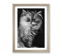 Persian Cat 2 Modern Framed Wall Art Print, Ready to Hang Picture for Living Room Bedroom Home Office Décor, Oak A2 (64 x 46 cm)