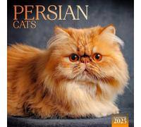 Persian Cat Calendar 2025: A Year of Elegance and Charm, Discover the Beauty of Persian Cats