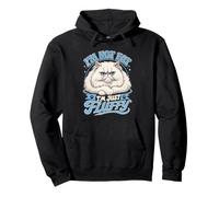 Persian Cat I'M NOT FAT I'M JUST FLUFFY Funny Pullover Hoodie
