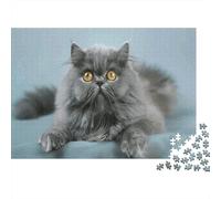 Persian Cat Jigsaw Puzzles for Adults 1000 Pieces White-and-beige Cat Lies on Blue Clot Fun Challenging Recycled Paper Gift 52x38cm/1000pcs