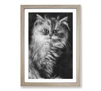 Persian Cat Painting Framed Print | A2 Oak Framed Wall Art | Ready to Hang | Modern Animal Picture | Living Room Bedroom Lounge Office