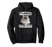 Persian cat T | Cat holder for house tiger Persian cat Pullover Hoodie
