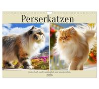 Persian cats. Charming, gentle, affectionate and beautiful UK-Version (Wall Calendar 2026 DIN A4 Landscape), CALVENDO 12 Month Wall Calendar