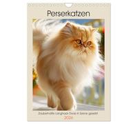 Persian cats. Enchanting long-haired divas set in scene UK-Version (Wall Calendar 2026 DIN A4 Portrait), CALVENDO 12 Month Wall Calendar