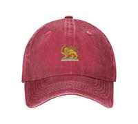 Persian Lion Sun Baseball Cap Iran Flag Design - Hat Adjustable Size Breathable Twill for Commuting Travel and Special Events Wine Red