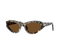 Persol Woman PO0052S 107157 Sunglasses Acetate Turtle Brown Butterfly Polarized