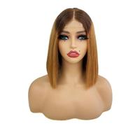 Personal Care 10 inch Bob Wig Human Hair 2x6 Lace Front Wigs Human Hair 250 Density For Black Women Hairs Extensions(Brown+dark blonde)