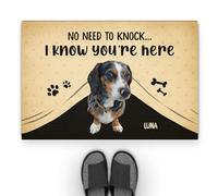 Personal Chic Personalised Door Mat - No Need To Knock, We Know You're Here - Welcome Mat, Custom Door Mat, Personalised Mats (1 dog)