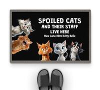 Personal Chic Personalised Door Mat - Spoiled Cats and Their Staff Live Here - Welcome Mat, Funny Cat Doormat, Gifts for Cat Lovers, Custom Door Mat, Personalised Rug (#5)