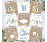 Personal Moments Peter Rabbit Baby Milestone Cards • Baby Shower Milestone Cards Gift • Baby Keepsake Milestone Cards • Beatrix Potter Memory Milestone Cards