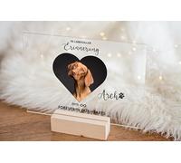 Personalised Acrylic Display Dog Memorial Plaque with Picture, Pet Memorial Plaque - A5 Acrylic Sign on Wooden Base | Remembrance Gift for Deceased Pets | Photo & Name (Horizontal)