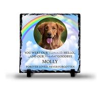 Personalised Add Your Own Photo Slate Pet Memorial Favourite Hello Hardest Goodbye Rainbow Bridge Dog Cat Horse Hamster Pet Loss Custom Photo Rock Slate S-PM06