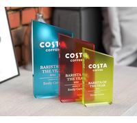Personalised Angled Acrylic Trophy Plaque, Custom UV-Printed Block Award with Logo & Text, Corporate Recognition Desk Trophy in 7 Frost Colours, Employee of the Month, Office & Sports Awards