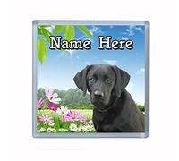 Personalised Any Name Black Labrador Dog Drinks Coaster Ideal Birthday Gift Z55