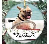 Personalised ANY Pet First Christmas Photo Message Bauble Tree Decoration Xmas Gift for Puppy, Dogs, Kittens Cats. Hamster, Birds, Fish