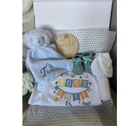 Personalised Baby Gift Hamper with Cotton Baby Grow, Baby Shower, Maternity Leave Present (100% Cute)