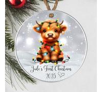 Personalised Baby's First Christmas Animal Ornament, Hanging Babies 1st Christmas Decoration Cute Festive Animal Designs for Infant & Newborn Gift (Highland cow, Acrylic - Indoor & Outdoor Use)