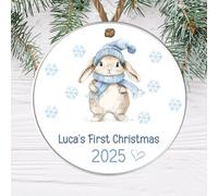 Personalised Baby's First Ornament Hanging Plaque Cute Boys Festive Tree Decoration For 1st Christmas Keepsake Gifts (Rabbit, Acrylic - Indoor & Outdoor Use)