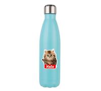 Personalised Back to School Gift for Cat Lovers, Students, Stainless Steel Bottle. (Mint Green)