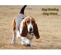 Personalised Basset Hound Dog Greeting Card (Birthday, Christmas, Any Occasion) - Custom Card for Him or Her Male Female Family Kids Boys Girls any Age