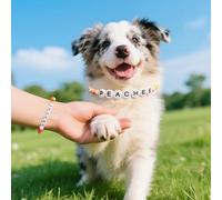 Personalised Beaded Dog Pet Collar,Customisable Dog's Name Collar Color,Dog Cat ID Name Collar Gift for Dog Lover