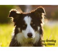 Personalised Border Collie Dog Greeting Card (Birthday, Christmas, Any Occasion) - Custom Card for Him or Her Male Female Family Kids Boys Girls any Age