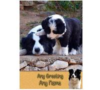 Personalised Border Collie Dog Greeting Card (Birthday, Christmas, Any Occasion) - Custom Card for Him or Her Male Female Family Kids Boys Girls any Age