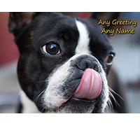Personalised Boston Terrier Dog Greeting Card (Birthday, Mothers Day, Fathers Day, Christmas, Blank) - Custom Card for Him Her Male Female Family Kids