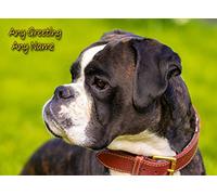 Personalised Boxer Dog Greeting Card (Birthday, Mothers Day, Fathers Day, Christmas, Blank) - Custom Card for Him Her Male Female Family Kids