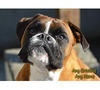 Personalised Boxer Dog Greeting Card (Birthday, Mothers Day, Fathers Day, Christmas, Blank) - Custom Card for Him Her Male Female Family Kids