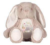 Personalised Bunny with Name and Message - Fairy Wreath with Blonde Hair Soft Toy for Baby, Child, Kids, Babies Christening Flower Girl Bridesmaid Birthday New Baby - Fairy Blonde Hair Brown Bunny