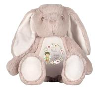 Personalised Bunny with Name and Message - Fairy Wreath with Green Hair Soft Toy for Baby, Child, Kids, Babies Christening Page Boy Birthday New Baby - Fairy Green Hair Brown Bunny
