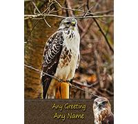 Personalised Buzzard Bird of Prey Greeting Card (Birthday, Mothers Day, Fathers Day, Christmas, Blank) - Custom Card for Him Her Male Female Family Kids