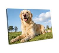 Personalised Canvas Photos,Customised Photo Printing with DIY Frame,Custom Poster Canvas Personalised Photo for Family,Pet,Birthday Gifts,Graduation Gift,Valentine's Day Gift 50x70cm(20x28in)