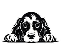 Personalised Caricature Dog Coasters, Many breeds and designs 9cm x 9cm. Lots of dog breeds and each one can be named. Also a great gift or dog memorial. (Cocker Spaniel)