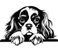 Personalised Caricature Dog Coasters, Many breeds and designs 9cm x 9cm. Lots of dog breeds and each one can be named. Also a great gift or dog memorial. (Cavalier King Charles Spaniel)