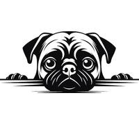 Personalised Caricature Dog Coasters, Many breeds and designs 9cm x 9cm. Lots of dog breeds and each one can be named. Also a great gift or dog memorial. (Pug)