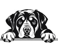Personalised Caricature Dog Coasters, Many breeds and designs 9cm x 9cm. Lots of dog breeds and each one can be named. Also a great gift or dog memorial. (Rottweiler)