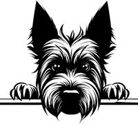 Personalised Caricature Dog Keyring, Many breeds and designs 3cm x 3cm. Lots of dog breeds and each one can be named. Also a great gift or dog memorial. (Scottish Terrier)