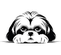 Personalised Caricature Dog Keyring, Many breeds and designs 3cm x 3cm. Lots of dog breeds and each one can be named. Also a great gift or dog memorial. (Shih Tzu)