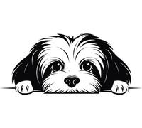 Personalised Caricature Dog Keyring, Many breeds and designs 3cm x 3cm. Lots of dog breeds and each one can be named. Also a great gift or dog memorial. (Maltese)