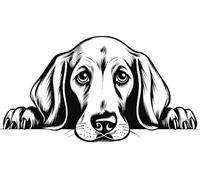 Personalised Caricature Dog Keyring, Many breeds and designs 3cm x 3cm. Lots of dog breeds and each one can be named. Also a great gift or dog memorial. (Weimaraner)