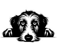 Personalised Caricature Dog Keyring, Many breeds and designs 3cm x 3cm. Lots of dog breeds and each one can be named. Also a great gift or dog memorial. (Irish Wolfhound)