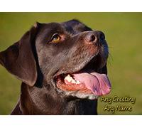 Personalised Chocolate Labrador Dog Greeting Card (Birthday, Mothers Day, Fathers Day, Christmas, Blank) - Custom Card for Him Her Male Female Family Kids