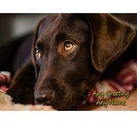 Personalised Chocolate Labrador Dog Greeting Card (Birthday, Mothers Day, Fathers Day, Christmas, Blank) - Custom Card for Him Her Male Female Family Kids